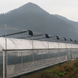 雨季时连栋薄膜温室大棚如何应对？