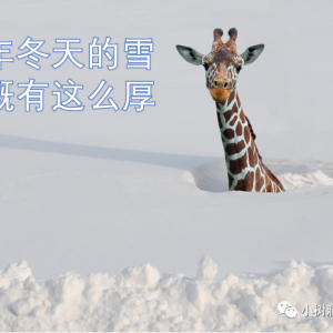 什么叫组件“机械荷载测试”  摸清“2400Pa和5400Pa”的来龙去脉 ... ... ... ...