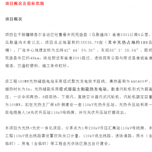 两台热盐泵！托克逊乌斯通光热+光伏一体化项目变频高温熔盐泵竞谈采购 ...